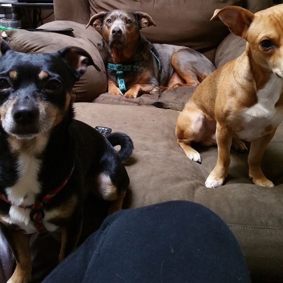 Meet your Posher, Angela - Picture 2 of 3